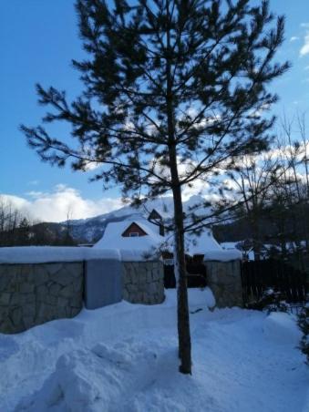 Domek Zakopianska Chata Zakopane Exterior foto
